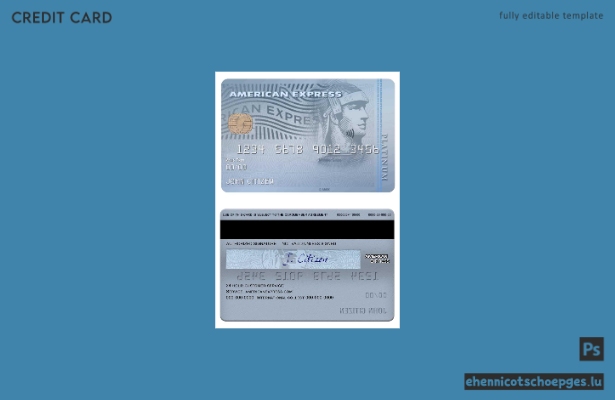 USA Carrington Mortgage Services Bank American Express Platinum Card – Beispielvorschau